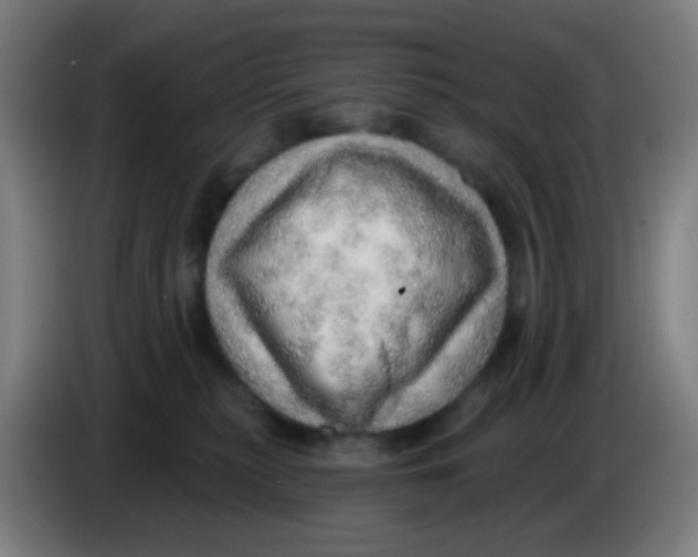 X0000085240279200703301754