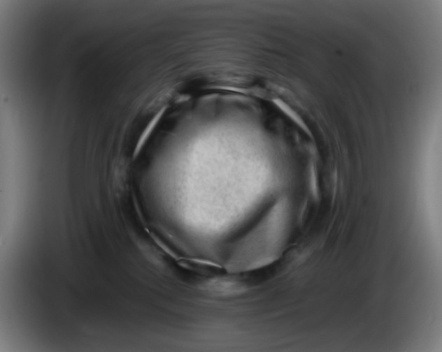 X0000085240280200703301754