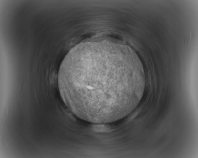 X0000085240281200703301754
