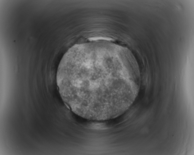 X0000085240283200703301754