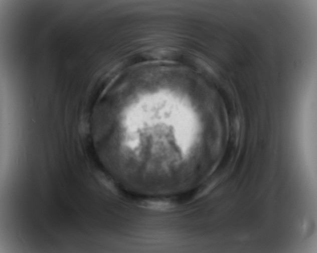 X0000085240284200703301754