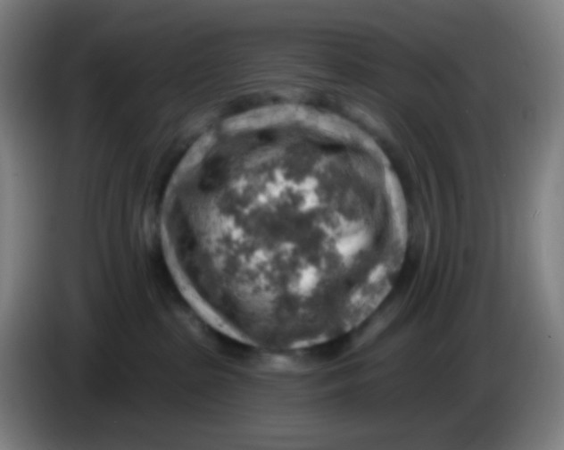 X0000085240285200703301754