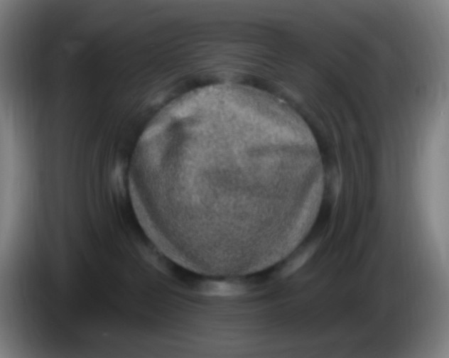 X0000085240286200703301754