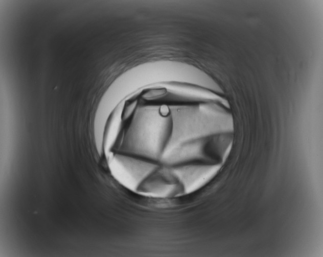 X0000085240288200703301754