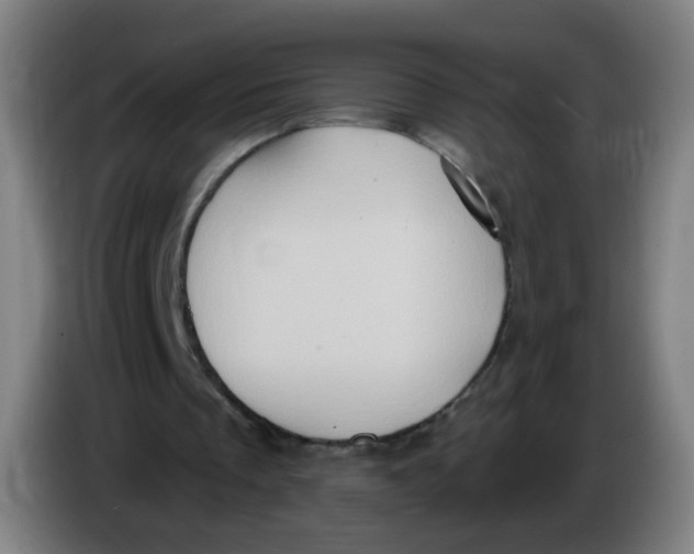 X0000085240289200703301753