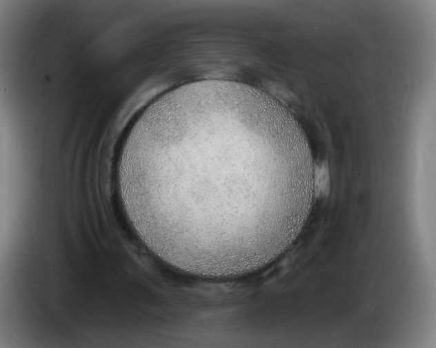 X0000085240291200703301753