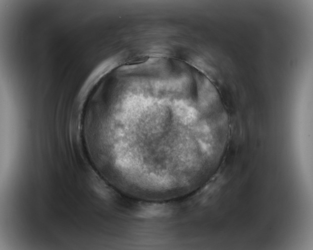 X0000085240293200703301753