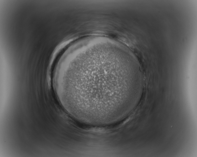 X0000085240294200703301753