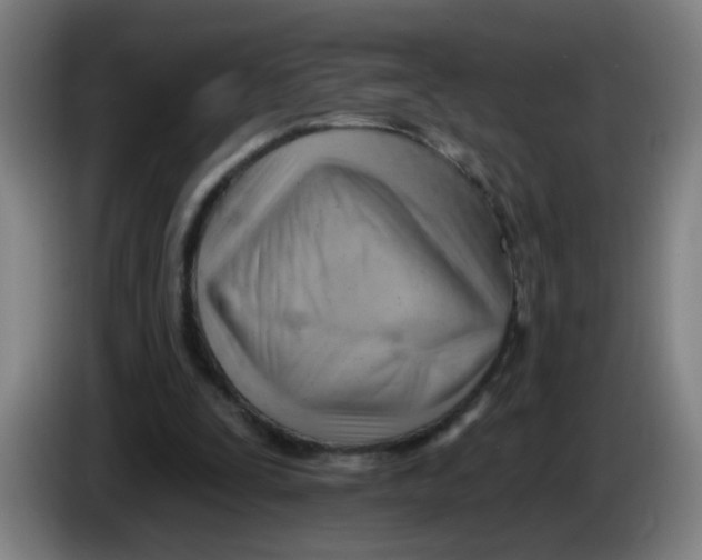 X0000085240295200703301753