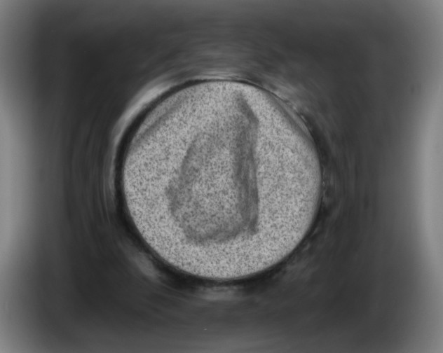 X0000085240296200703301753