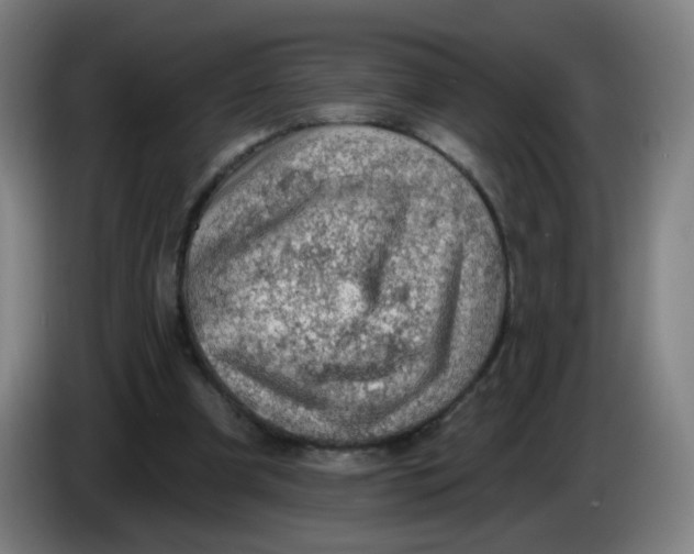 X0000085240297200703301753