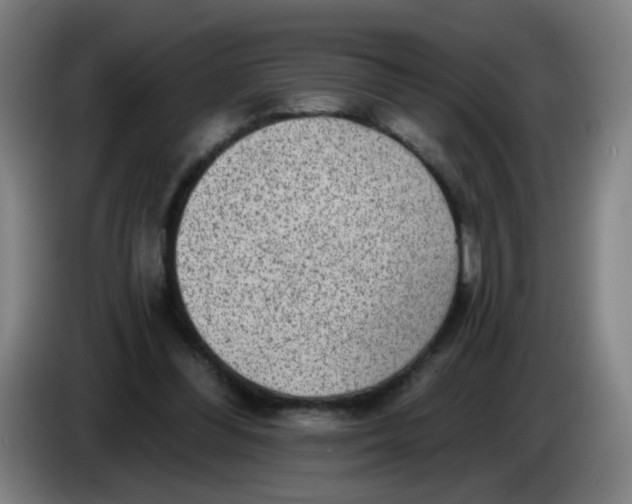 X0000085240300200703301753