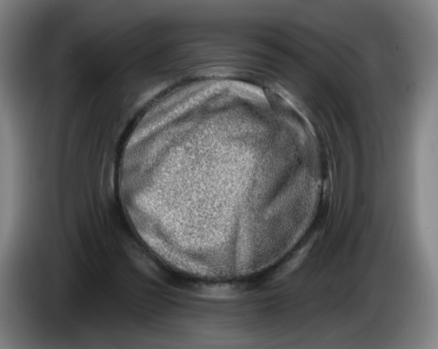 X0000085240301200703301753