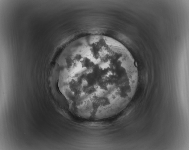 X0000085240303200703301753