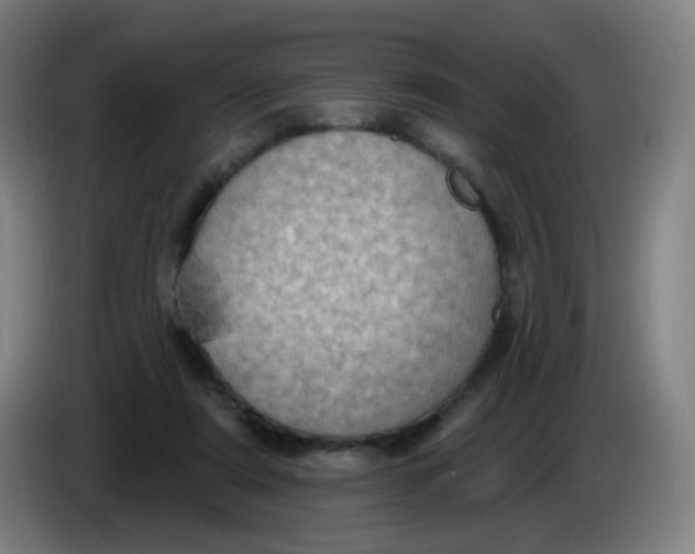 X0000085240307200703301753