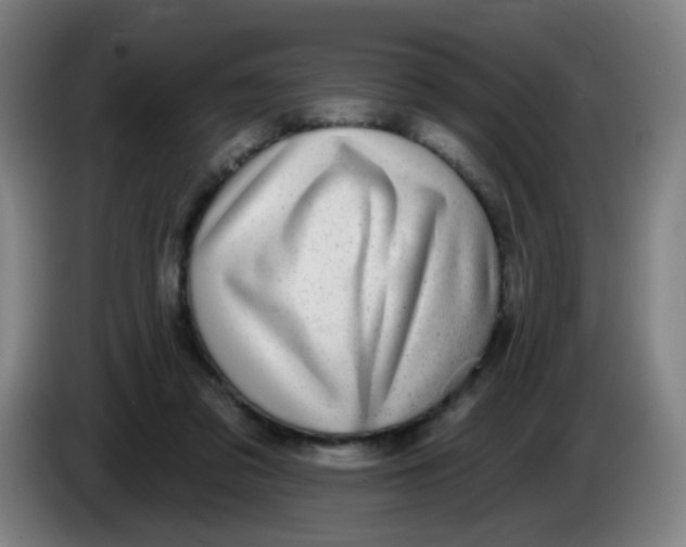X0000085240309200703301753