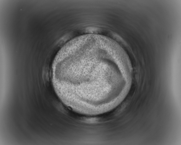 X0000085240313200703301753