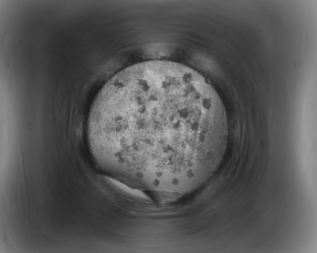 X0000085240315200703301753