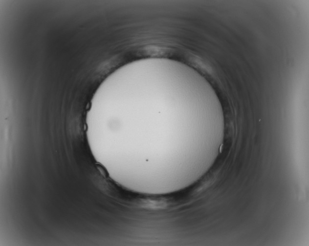 X0000085240317200703301753