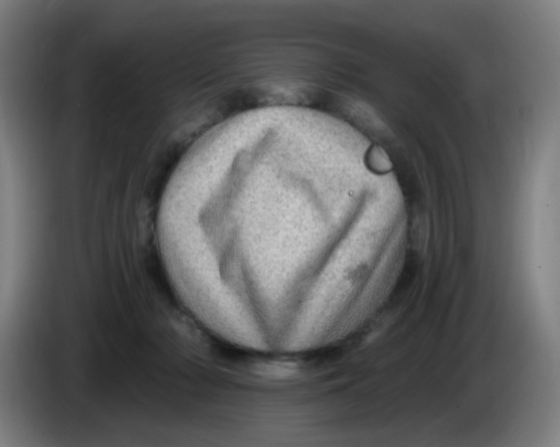 X0000085240318200703301753