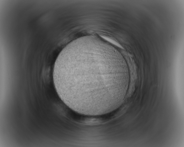 X0000085240319200703301753