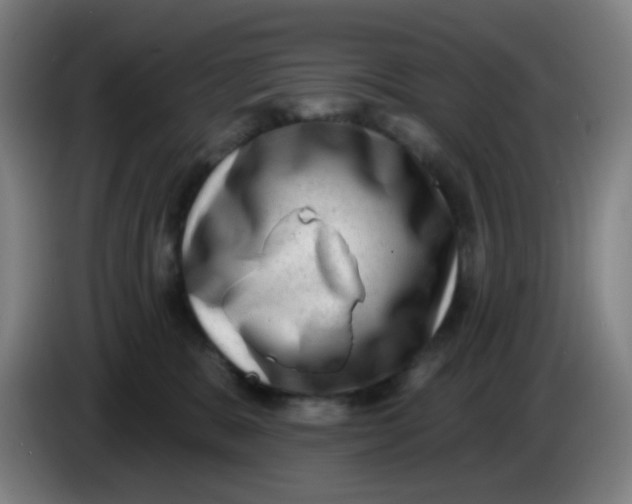 X0000085240327200703301753