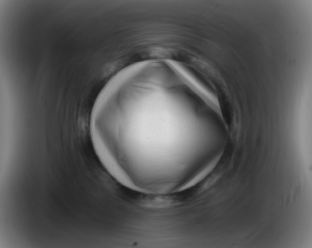 X0000085240329200703301753