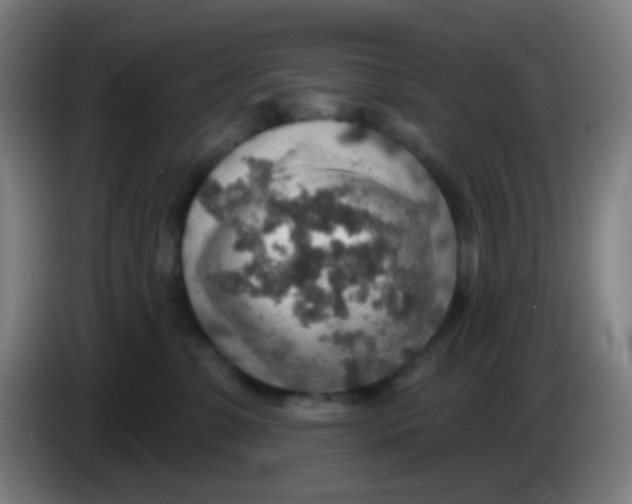X0000085240331200703301753