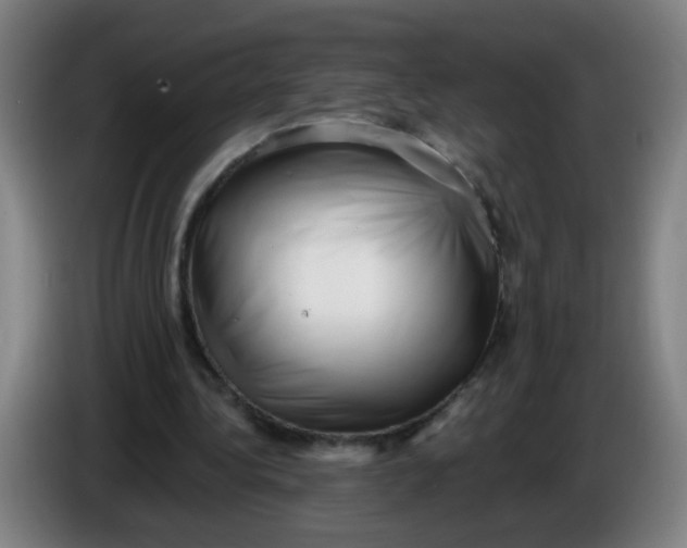 X0000085240340200703301752