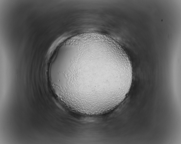 X0000085240341200703301752