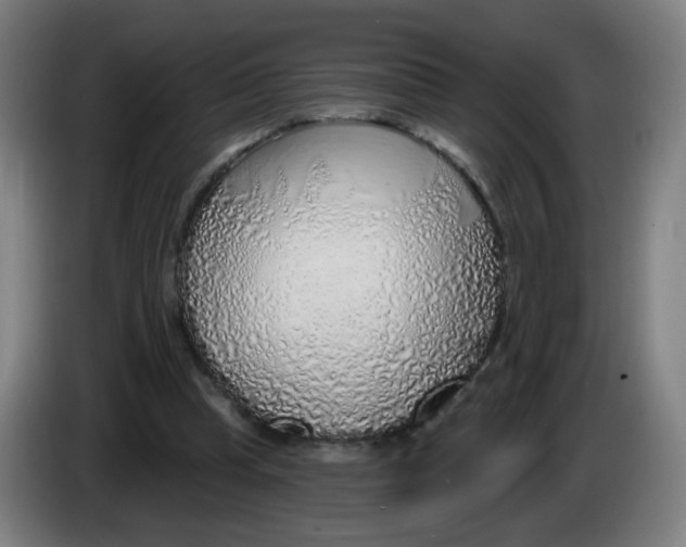 X0000085240345200703301752