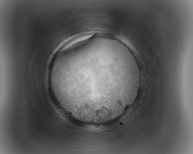 X0000085240346200703301752