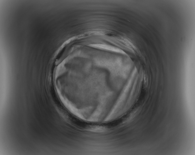 X0000085240348200703301752