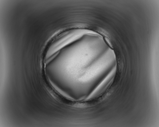 X0000085240350200703301752