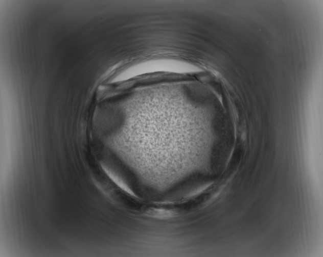 X0000085240352200703301752