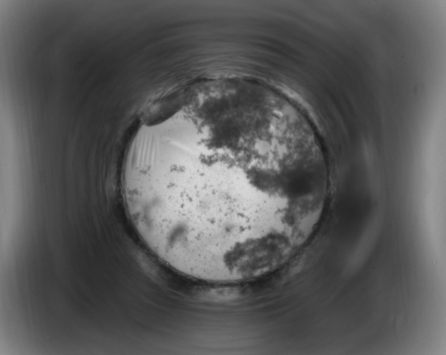 X0000085240353200703301752