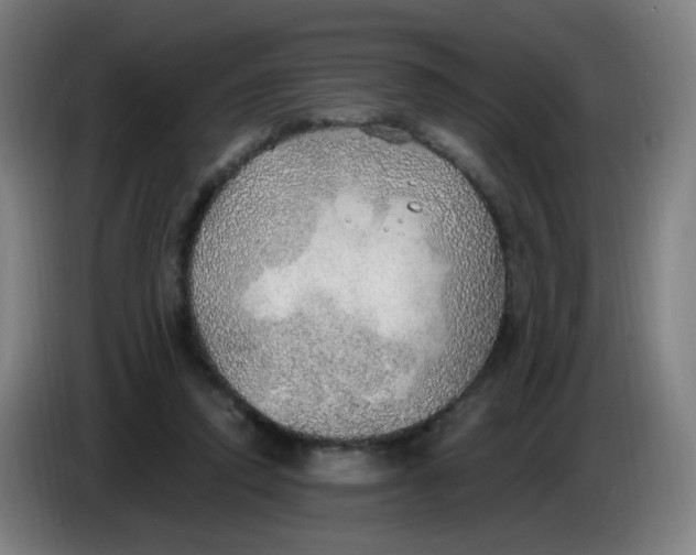 X0000085240354200703301752