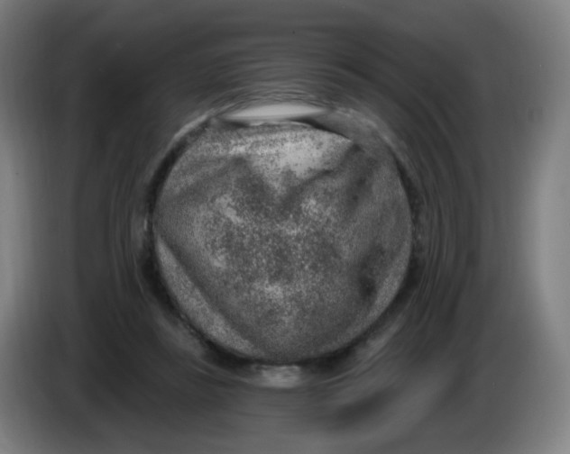X0000085240355200703301752