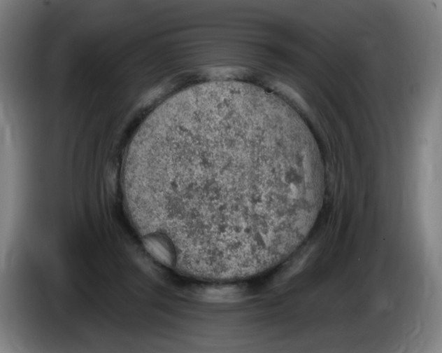 X0000085240357200703301752