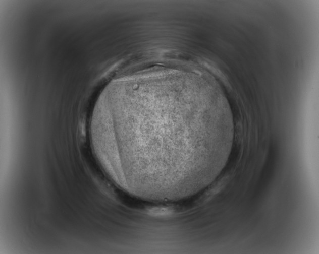 X0000085240358200703301752