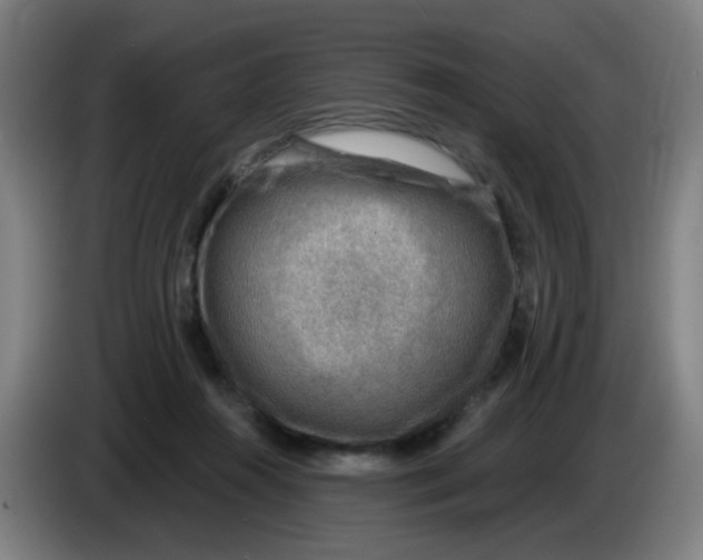 X0000085240360200703301752
