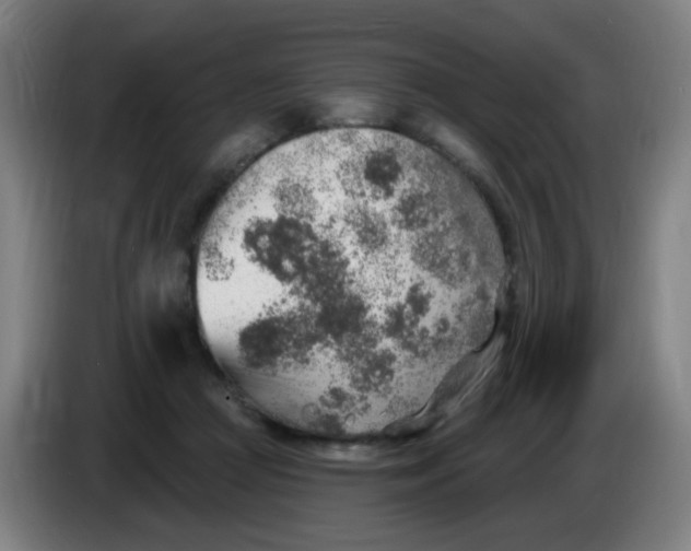 X0000085240361200703301752