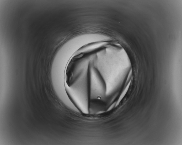 X0000085240362200703301752