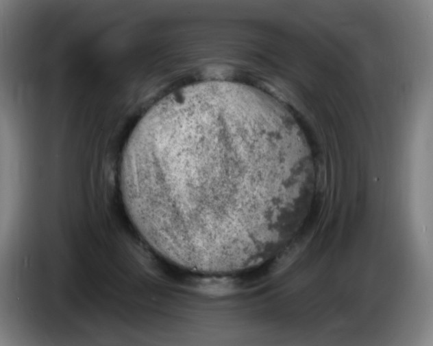 X0000085240363200703301752