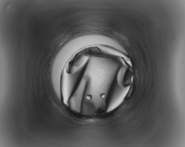 X0000085240364200703301752