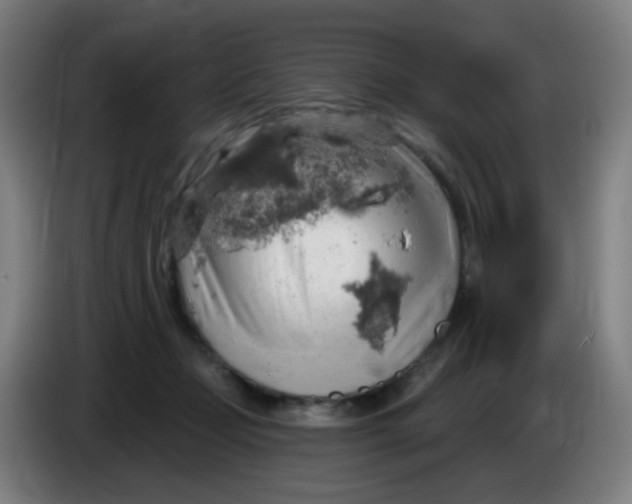 X0000085240365200703301753