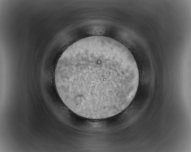 X0000085240370200703301753
