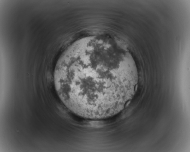 X0000085240371200703301753