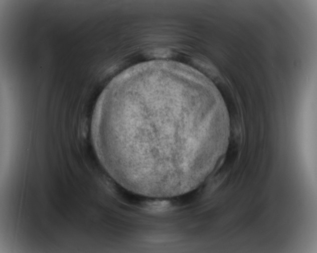 X0000085240374200703301753