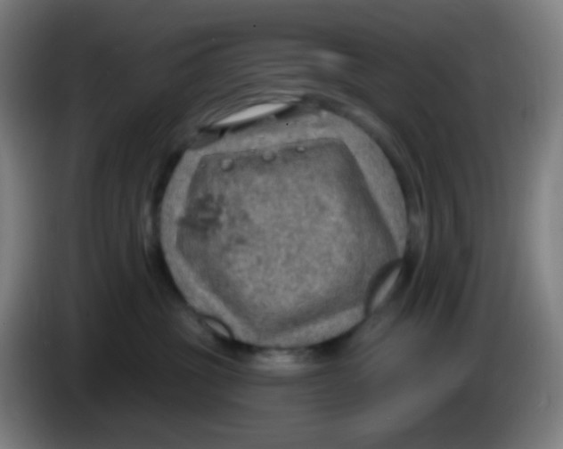 X0000085240381200703301753